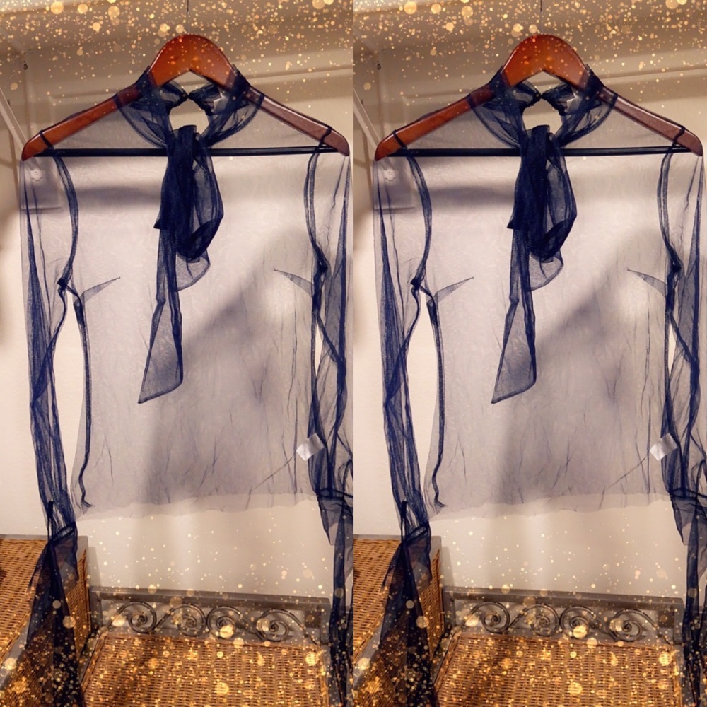 Blue sheer top